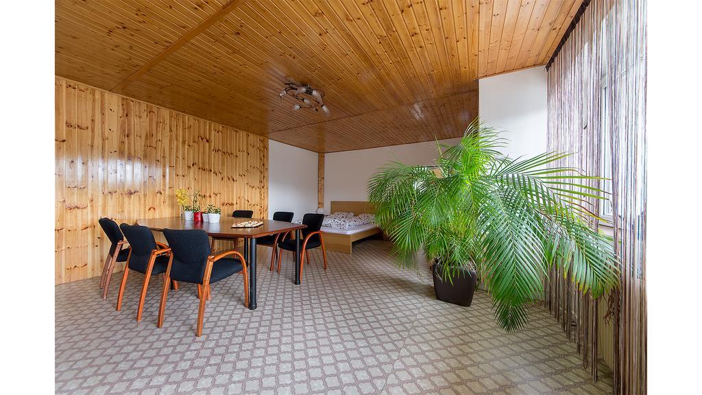Apartman Vrane Vrane nad Vltavou Экстерьер фото